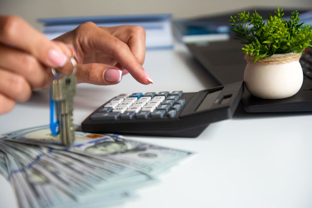 Imagem de capa de Comparaison des différentes formes de prêts disponibles