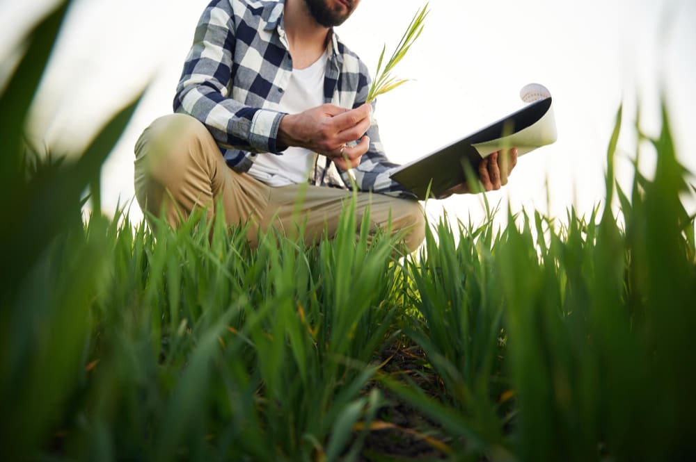 Imagem de capa de Agriculture: Jobs Growing in Uganda's Rural Economy