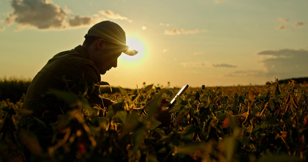 Imagem de capa de Construção civil: eletricistas, pedreiros, canalizadores